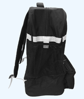 Hauler Curling Bags